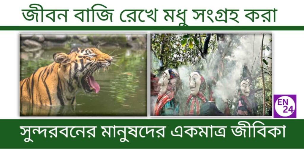 Sundarban Honey Collection- সুন্দরবন মধু সংগ্রহ